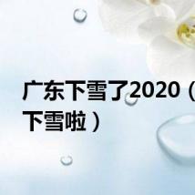 广东下雪了2020（广东下雪啦）