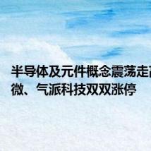 半导体及元件概念震荡走高 晶华微、气派科技双双涨停