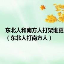 东北人和南方人打架谁更胜一筹（东北人打南方人）