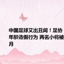 中国足球又出丑闻!足协:因存在年龄造假行为 两名小将被禁赛2个月