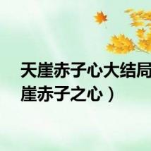 天崖赤子心大结局(天崖赤子之心)