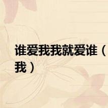 谁爱我我就爱谁（谁爱我）