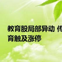 教育股局部异动 传智教育触及涨停
