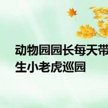 动物园园长每天带刚出生小老虎巡园