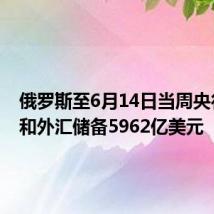 俄罗斯至6月14日当周央行黄金和外汇储备5962亿美元
