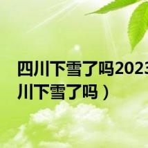 四川下雪了吗2023（四川下雪了吗）