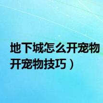 地下城怎么开宠物(dnf开宠物技巧)