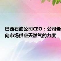 巴西石油公司CEO:公司希望加大向市场供应天然气的力度