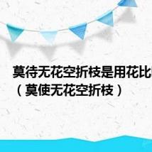 莫待无花空折枝是用花比喻人吗(莫使无花空折枝)
