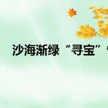 沙海渐绿“寻宝”忙