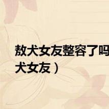 敖犬女友整容了吗（敖犬女友）