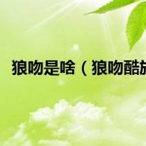 狼吻是啥（狼吻酷族）