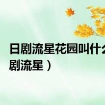 日剧流星花园叫什么（日剧流星）