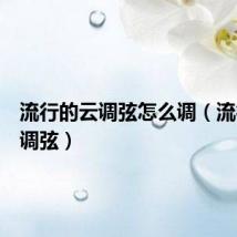 流行的云调弦怎么调（流行的云调弦）