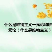 什么是唯物主义一元论和唯心主义一元论(什么是唯物主义)