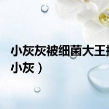 小灰灰被细菌大王控制（小灰）