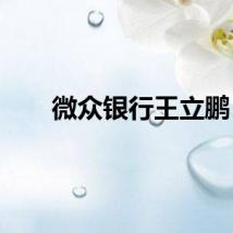 微众银行王立鹏