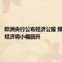欧洲央行公布经济公报 预计今年经济将小幅回升