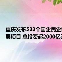 重庆发布533个国企民企协同发展项目 总投资超2000亿元