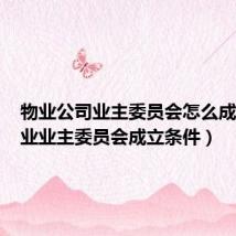 物业公司业主委员会怎么成立（物业业主委员会成立条件）