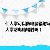 仙人掌可以防电脑辐射吗?（仙人掌防电脑辐射吗）