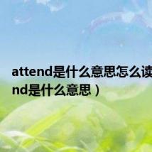 attend是什么意思怎么读（attend是什么意思）