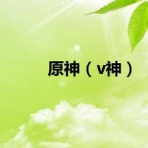 原神（v神）