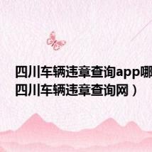 四川车辆违章查询app哪个好(四川车辆违章查询网)