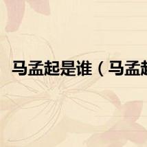 马孟起是谁（马孟起）
