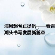 海风起兮正扬帆——看青岛勇立潮头书写发展新篇章