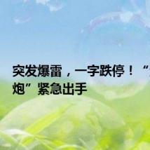 突发爆雷,一字跌停!“资本老炮”紧急出手