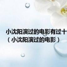 小沈阳演过的电影有过十亿的吗（小沈阳演过的电影）