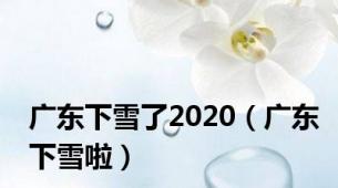 广东下雪了2020（广东下雪啦）