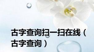 古字查询扫一扫在线（古字查询）