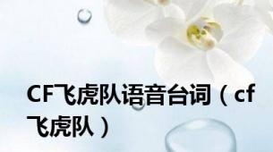 CF飞虎队语音台词（cf飞虎队）