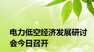电力低空经济发展研讨会今日召开