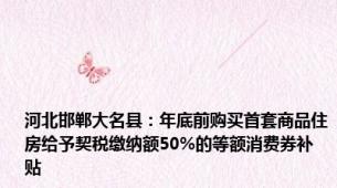 河北邯郸大名县：年底前购买首套商品住房给予契税缴纳额50%的等额消费券补贴