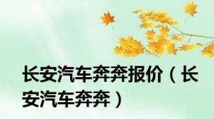 长安汽车奔奔报价（长安汽车奔奔）