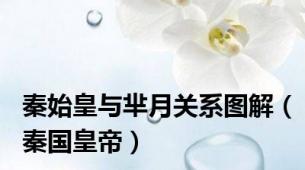 秦始皇与芈月关系图解（秦国皇帝）