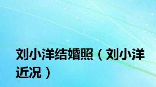 刘小洋结婚照（刘小洋近况）