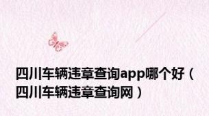 四川车辆违章查询app哪个好（四川车辆违章查询网）