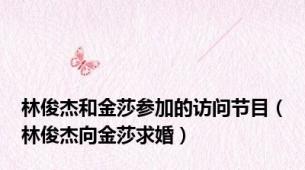林俊杰和金莎参加的访问节目（林俊杰向金莎求婚）