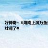 好神奇~ #海南上演万鱼炸水太壮观了#