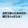 洛克王国小红值得买吗（洛克王国红毛小q怎么得）