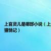 上官灵儿是哪部小说（上官灵儿猎情记）