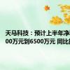 天马科技：预计上半年净利润5000万元到6500万元 同比扭亏