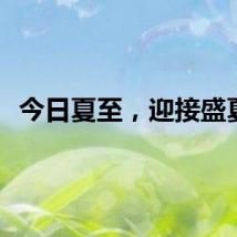 今日夏至，迎接盛夏！