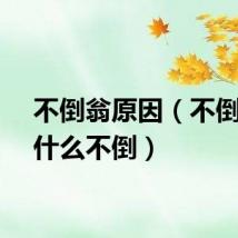 不倒翁原因（不倒翁为什么不倒）