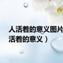 人活着的意义图片（人活着的意义）