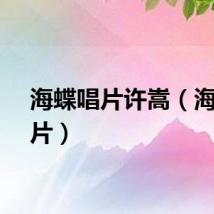 海蝶唱片许嵩（海蝶唱片）